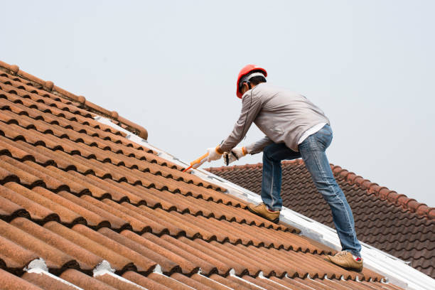 Best Roof Ventilation Installation  in Reidsville, NC