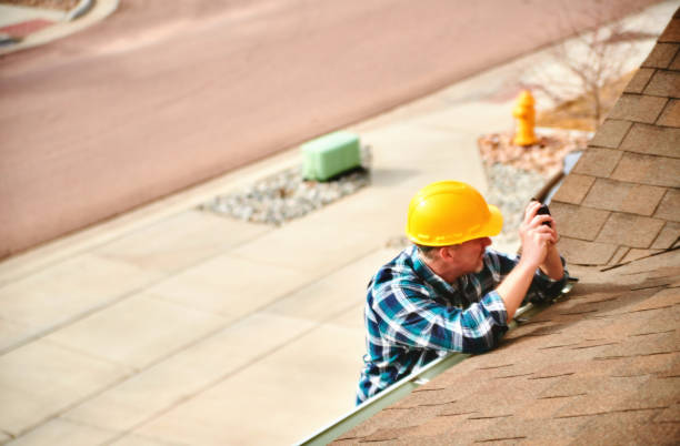 Best Roof Moss and Algae Removal  in Reidsville, NC